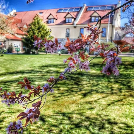 Und Restaurant Rittergut Kreipitzsch ホテル ナウムブルク